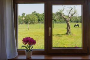 Zahrada ubytování Pool & Spa House Betiga 2 - Happy Rentals