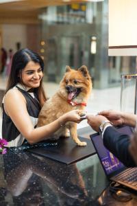 Una donna tiene un cane su un tavolo di Hyatt Regency Chennai a Chennai