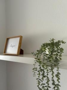 a shelf with a picture and a plant on it at Duplex of the Sun in Medina de Pomar