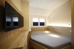 TV a/nebo společenská místnost v ubytování Appartement Central by Schladmingurlaub
