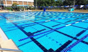 een groot zwembad met blauw water bij Cozy Cottage near Beaches and Downtown Sarasota in Sarasota