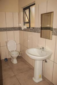 a bathroom with a sink and a toilet at Ingwenya Guesthouse in Ermelo