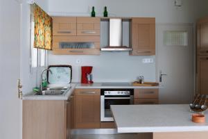 una cucina con lavello e fornello forno superiore di Penthouse Anneliese ad Atene
