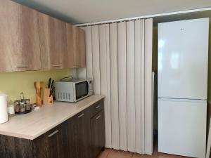 een keuken met een koelkast en een magnetron bij Casa Vlad in Constanţa