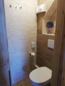 La petite salle de bains est pourvue d'une douche et de toilettes. dans l'établissement Pension Haus zum See, à Markische Heide
