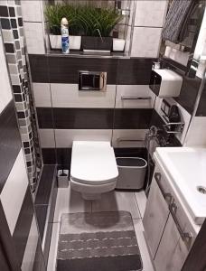 ein kleines Bad mit WC und Waschbecken in der Unterkunft Wiew Lux Studio Apartments in a Secure Residential Complex Comfort Town КТ-03 in Kiew