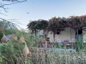 un jardin avec une maison avec un bouquet de fleurs dans l'établissement Doornkraal Tuinhuis, à De Rust