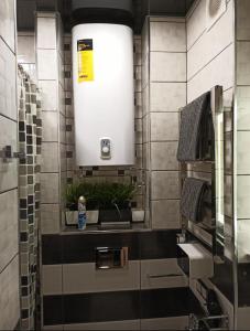 ein Bad mit Waschbecken und einigen Pflanzen in der Unterkunft Wiew Lux Studio Apartments in a Secure Residential Complex Comfort Town КТ-03 in Kiew