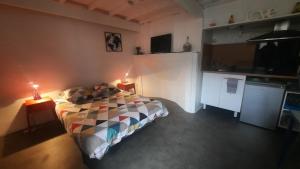 1 dormitorio con 1 cama y 2 luces en 2 mesas en PROMO 20-27 mai Toulouse 15 mn appart 3 lits propre cuisine sde 4 personnes, en Montastruc-la-Conseillère