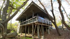 une cabane dans les arbres avec une terrasse dans les bois dans l'établissement Tabinoteitaku Zao Miyagi, à Zao