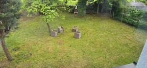 Vonkajšia záhrada v ubytovaní Apartament Green Forest