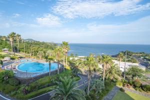 an aerial view of a resort with a swimming pool and the ocean at Seaore Resort in Seogwipo