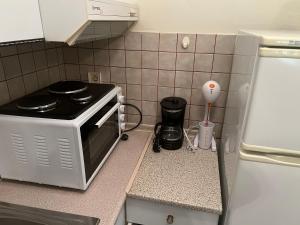 een keuken met een fornuis en een magnetron bij AFISSOS-DREAM 3STUDIOS in Afissos