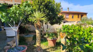 um jardim com palmeiras e outras plantas em Casa Gaudi em Teulada