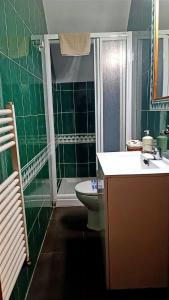 La salle de bains verte est pourvue d'un lavabo et de toilettes. dans l'établissement El Rincon De Luna, à Moratilla de los Meleros