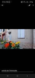 una foto de flores frente a un edificio en PROMO 20-27 mai Toulouse 15 mn appart 3 lits propre cuisine sde 4 personnes, en Montastruc-la-Conseillère