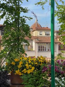 Zahrada ubytování Hotel Hermitage