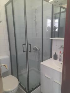 a bathroom with a shower and a toilet and a sink at Apartmani Pulić in Senj +58 photos