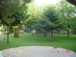 eine Gruppe von Bäumen auf einem Grasland in der Unterkunft praialinda in Badolato