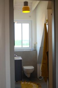 La salle de bains est pourvue de toilettes et d'une fenêtre. dans l'établissement Kleiner Fuchs, à Wolframs-Eschenbach