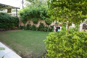 a backyard with a yard with a lawn sidx sidx sidx sidx at Good Vibes Homestay in Jaipur
