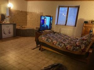 1 dormitorio con TV, 1 cama y bañera en L'Escapade de JOS gite équestre, en Pont-de-Salars