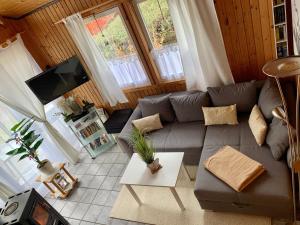 sala de estar con sofá y TV en Ferienpark - Komfort-Ferienhaus mitten in der Natur 5 Personen, en Extertal