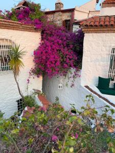 biała ściana z fioletowymi kwiatami w obiekcie 8 oDa Marmaris w mieście Marmaris