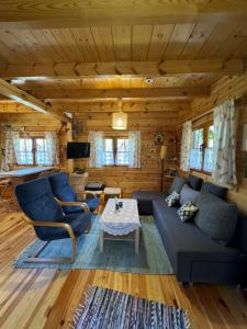 sala de estar con sofá azul y mesa en Domek Borsk, en Borsk