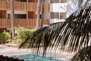 a palm tree in front of a building at Las Gaviotas Suites Hotel & Spa in Playa de Muro