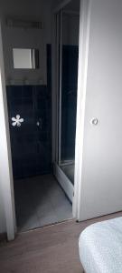 an open door to a bathroom with a shower at U pozzu hôtel in Evisa