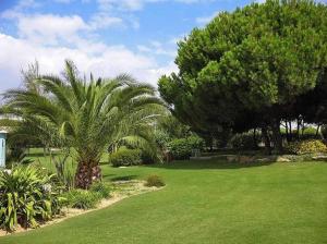 Градина пред Sunny Apartment Al-Sakia, Quarteira, Vilamoura