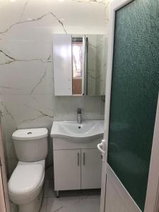 Un baño con inodoro, lavabo y espejo. en Vila Topi, en Vlorë