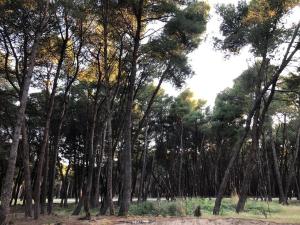 公寓周边自然景观