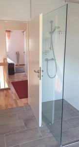 baño con ducha y puerta de cristal en Ferienhaus Waldfee, en Reutin