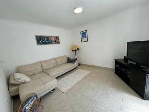 TV a/nebo společenská místnost v ubytování TRIBUNJ PRIVATE HOUSE