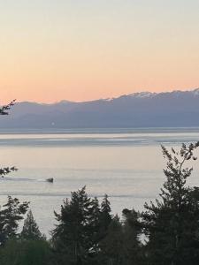 Gallery image of Skyview Apartment at Otter Point in Sooke