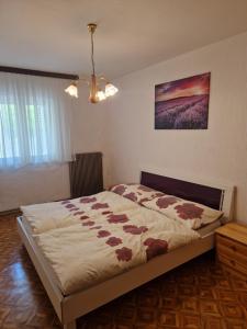 ein Schlafzimmer mit einem großen Bett mit Blumen darauf in der Unterkunft Apartments Pavle in Barušić