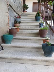 un conjunto de escaleras con macetas. en Guest house Matsantsara, en Telavi