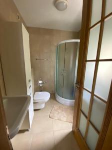 a bathroom with a shower and a toilet and a sink at Casa di mare 5 in Petrovac na Moru