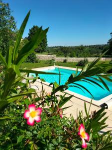a view of a swimming pool with pink flowers at Chambres 2 personnes dans notre maison Girondine in Saint-Martin-de-Lerm