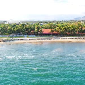 una playa con un grupo de aves en la costa en Dat Lanh Beach Resort, en La Gi