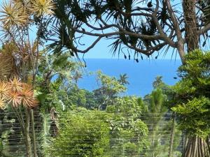 - une vue sur l'océan à travers les arbres dans l'établissement Seaforth Country House, à Ballito