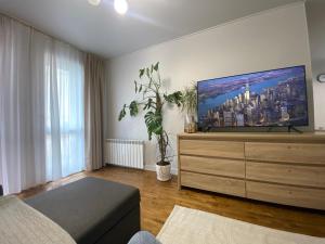 uma sala de estar com uma grande televisão de ecrã plano numa cómoda em Pushkin's apartments em Jitomir