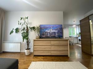 een woonkamer met een flatscreen-tv op een dressoir bij Pushkin's apartments in Zhytomyr