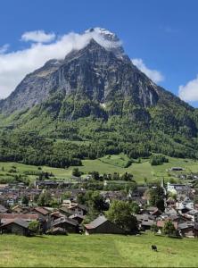Vista generica sulle montagne o vista sulle montagne dall'interno della stanza in casa privata