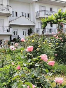 un champ de roses roses devant un bâtiment dans l'établissement Gaia Apartment, à Anatolí