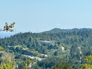 a building on top of a hill with trees at Philoxenia in Kavála