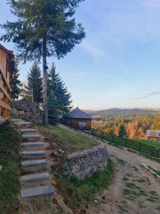 a stone path next to a tree and a building at Cabane A-frame CeziAde Tihuta in Piatra Fantanele