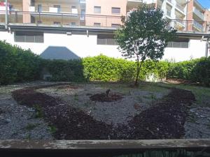 une cour avec un petit arbre et un bâtiment dans l'établissement 4 Seasons b&b, à Potenza